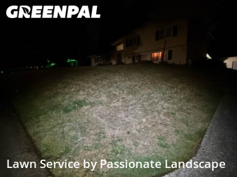 Lawn Work in Lacey, 98503, Lawn Management by Passionate Landscape, work completed in Nov , 2025