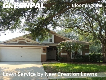 Lawn Care nearby Valrico, FL, 