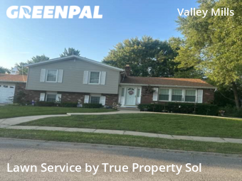 Grass Cutting nearby Indianapolis, IN, 