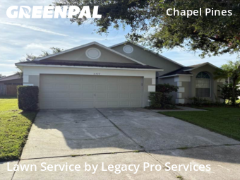 Lawn Service nearby Wesley Chapel, FL, 