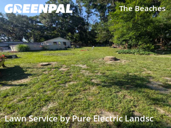 Lawn Cutin Jacksonville Beach,32250,Lawn Mowing by Pure Electric Landsc, work completed in Dec , 2025