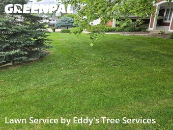 Grass Cut nearby Grand Rapids, MI, 