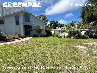 Lawn Maintenance nearby Tampa, FL, 