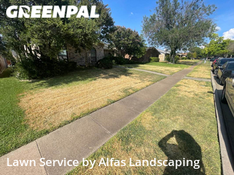 Lawn Care nearby The Colony, TX, 