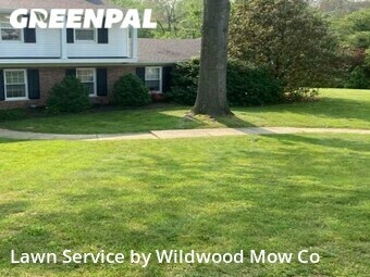 Grass Cut nearby St. Louis, MO, 