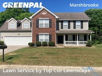 Lawn Cut nearby Matthews, NC, 
