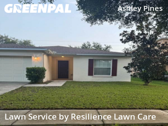 Lawn Care nearby Wesley Chapel, FL, 