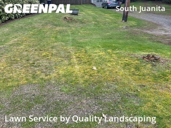 Lawn mowed in Kirkland, 98033