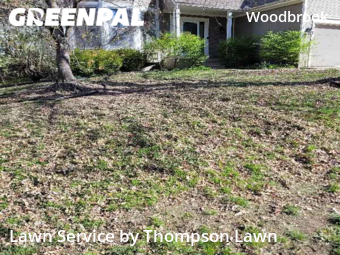 Grass Cut nearby Olathe, KS, 