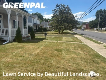 Lawn Mow nearby Salem, VA, 