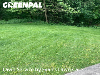 Grass Cut nearby Pittsburgh, PA, 
