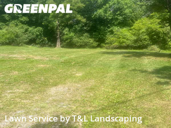 Grass Cutting nearby Lynchburg, VA, 