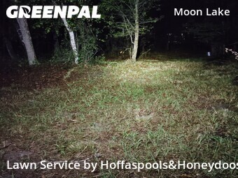 Lawn Cut nearby New Port Richey, FL, 