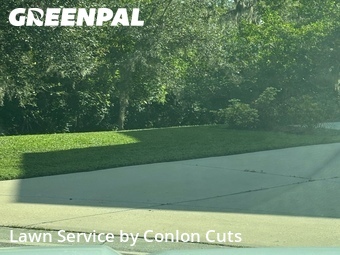 Lawn Cutting nearby Bradenton, FL, 