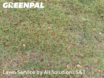 Lawn Care nearby Winter Haven, FL, 