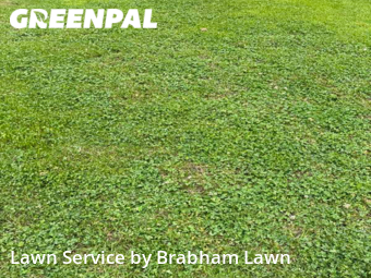 Lawn Care Service nearby Baton Rouge, LA, 