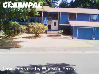Yard Upkeep in Federal Way, 98003, Mowing Services by Working Yardz, work completed in Nov , 2025