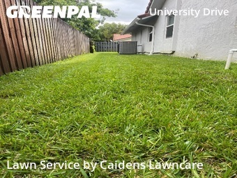 Lawn Maintenance in Coral Springs, 33065, Yard Care by Caidens Lawncare , work completed in Nov , 2025