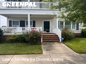Grass Cut nearby Virginia Beach, VA, 