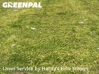 Lawn Care nearby Hendersonville, TN, 