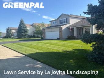 Lawn Care in Lockport, 60441, Yard Cutting by La Joyita Landscaping, work completed in Nov , 2025
