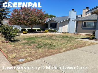 Yard Cutting nearby Sacramento, CA, 