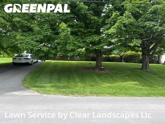 Lawn Cut nearby Whitesboro, NY, 