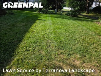 Weed Trimming in Lisle, 60532, Lawn Care by Terranova Landscape, work completed in Nov , 2025