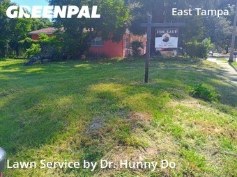 Grass Cut nearby Tampa, FL, 