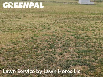 Lawn Care nearby Summerfield, NC, 