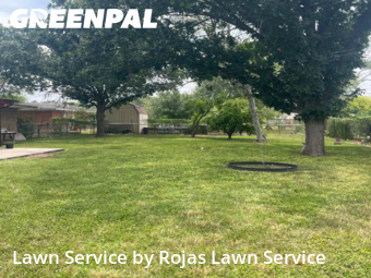 Lawn Mow nearby San Juan, TX, 