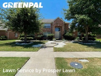 Grass Cutting nearby Frisco, FL, 