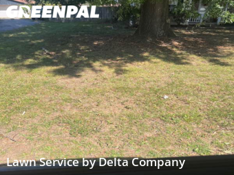 Lawn Mow nearby Bowling Green, KY, 