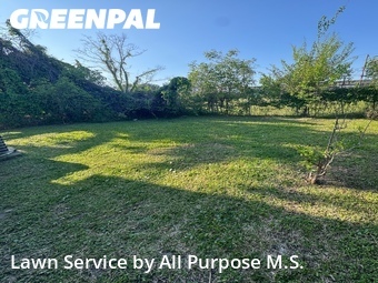 Lawn Cut nearby Marrero, LA, 