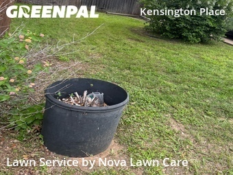 Lawn Service nearby Round Rock, TX, 