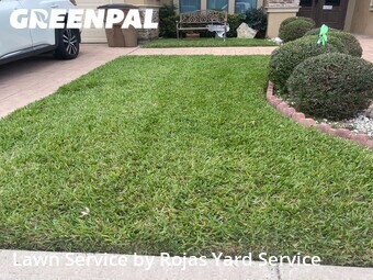 Yard Cutting nearby Edinburg, TX, 