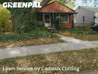 Yard Cutting nearby Warren, MI, 