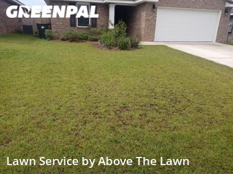 Lawn Maintenance nearby Bellview, FL, 