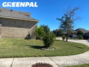 Grass Cut nearby Pearland, TX, 