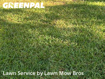Lawn Care Service nearby Fort Worth, TX, 