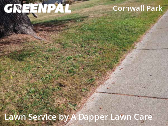 Yard Cutting nearby Bellingham, WA, 