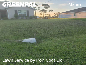 Lawn Cut nearby Cape Coral, FL, 