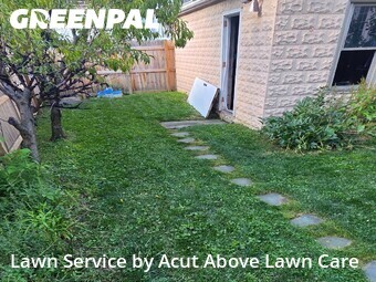 Grass Cutting nearby Aspinwall, PA, 