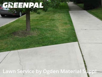 Lawn Care Service nearby Elmhurst, IL, 