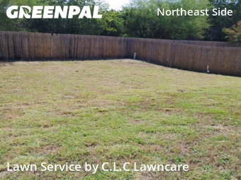 Yard Mowing nearby Converse, TX, 