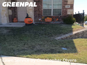 Lawn Service nearby Denton, TX, 