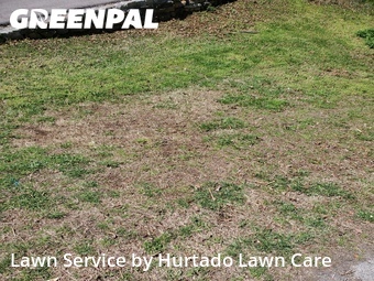 Yard Cutting nearby Knoxville, TN, 