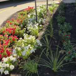 local-lawn-care-services-in-Taylorsville-UT