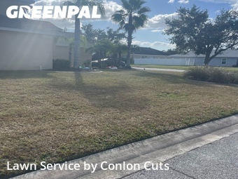 Lawn Cutting nearby Palmetto, FL, 