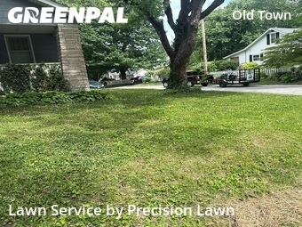 Lawn Cut nearby Florissant, MO, 